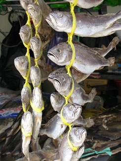 Jagalchi Fish Market