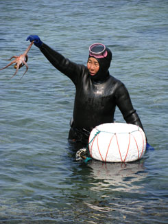 Haenyo of Jeju Island