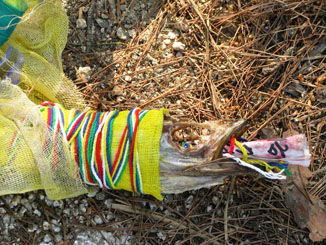 Ritualistic Offering on Inwangsan Shaman Mountain in Seoul
