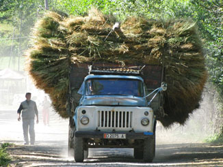Haulin' Grass - Arslanbob, Kyrgyzstan