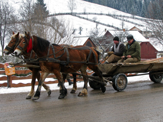 Horse and Cart in Vatra Moldovitei