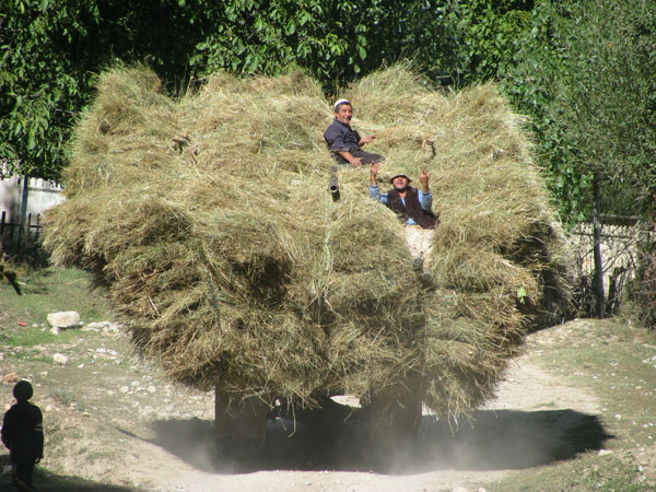 Truck Hauling Grass Down to Arslandbob, Kyrgyzstan for Winter Fodder