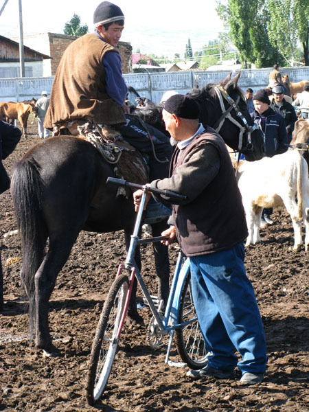Comparing Rides at the Sunday Animal Market in Karakol, Kyrgyzstan