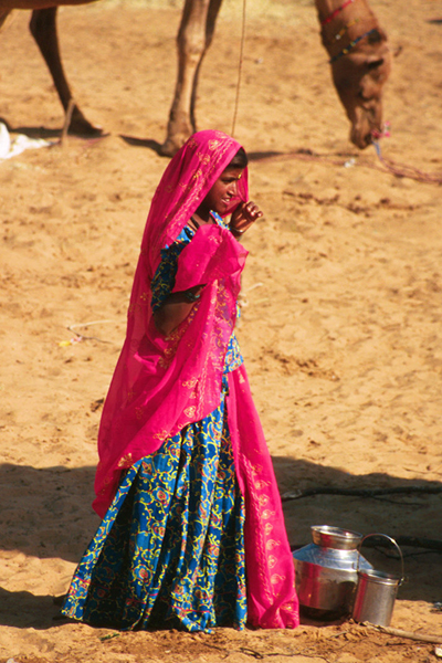 Color in the Desert at the Camel Fair in Pushkar, India
