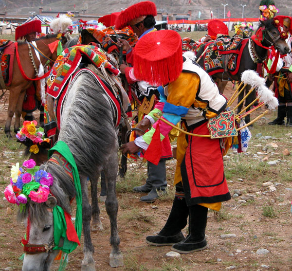 Colorful Tibetan Horse Festival
