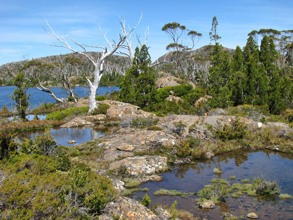 Tasmania, Australia - The Labyrinth